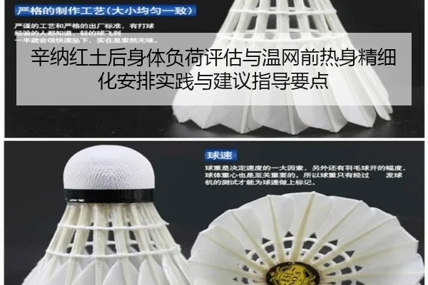 辛纳红土后身体负荷评估与温网前热身精细化安排实践与建议指导要点 | gamersky